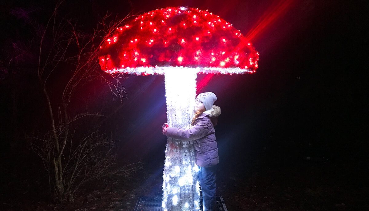 TataDeveloper - Lumina Park Lublin: muchomor
