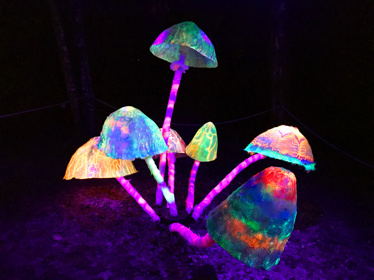 TataDeveloper - Lumina Park Lublin: grzyby