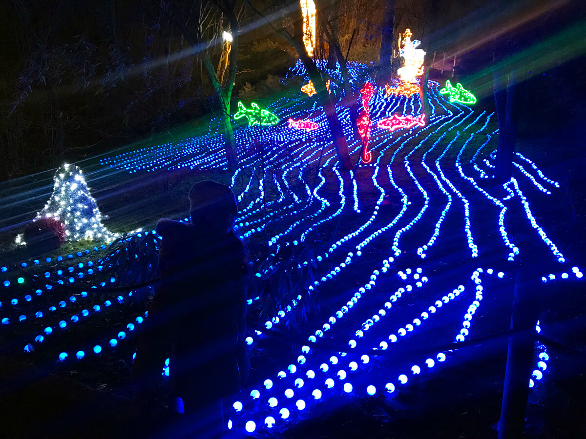 TataDeveloper - Lumina Park Lublin: woda