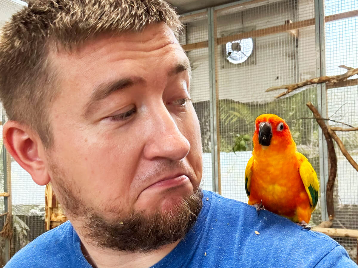 TataDeveloper - Papugarnia Carmen 05